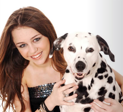 1740_miley_cyrus_dog - Miley si catelusul ei