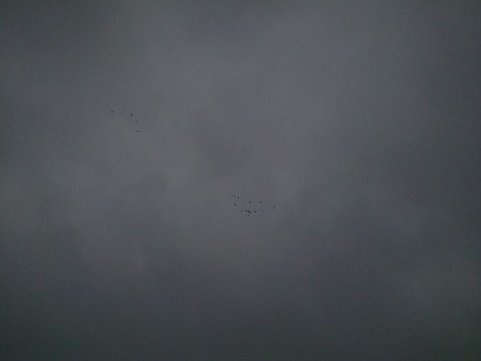 Imag 012798