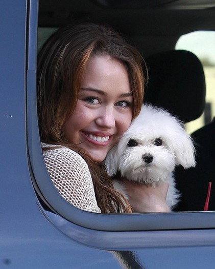 Miley+Cyrus+Arriving+Meeting+Dog+2+iFYvd2gbfYol