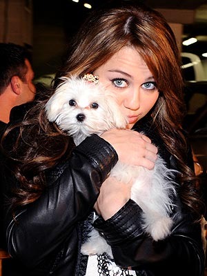 miley-and-sofie-11 - Miley si catelusul ei