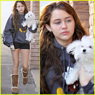 miley-cyrus-grandma-bonding-time - Miley si catelusul ei