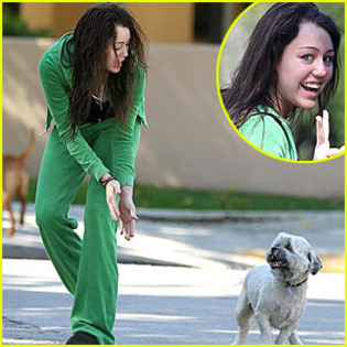 miley-cyrus-stray-dog - Miley si catelusul ei