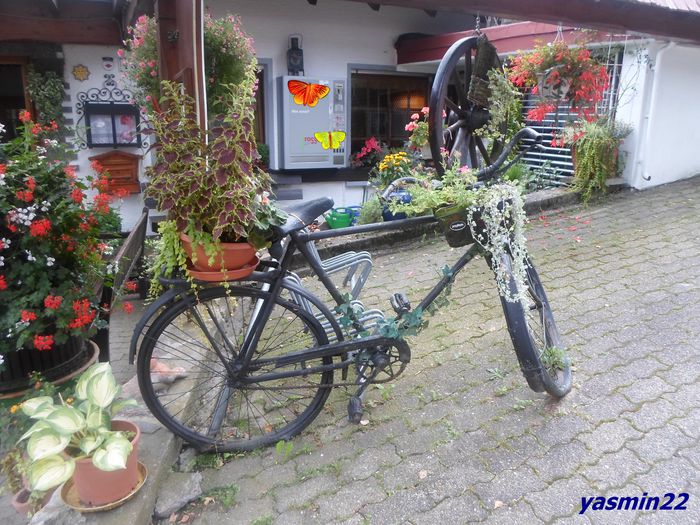 069 (2)Cu bicicleta... - Deco Vechituri