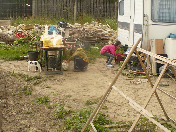 P1120067 - gradina ecologica imagini 2013