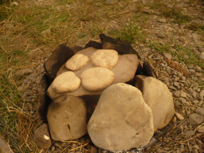 P1120663 - gradina ecologica imagini 2013