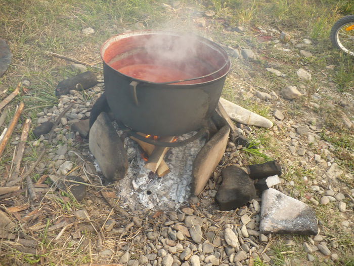 P1120754 - gradina ecologica imagini 2013
