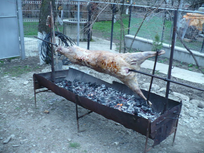 toate 2284 - gradina ecologica imagini 2013