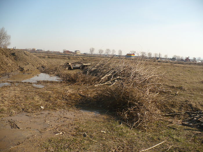 P1100363