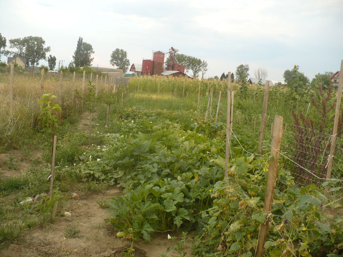 P1100986