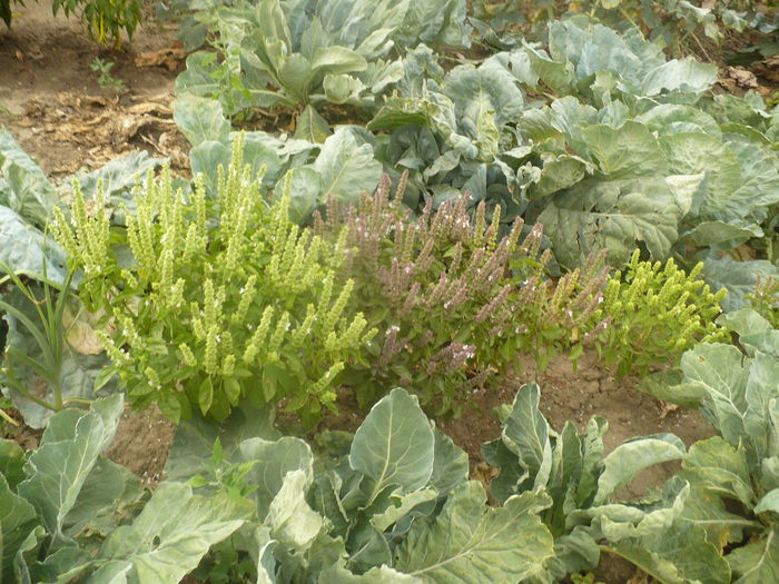 P1100996