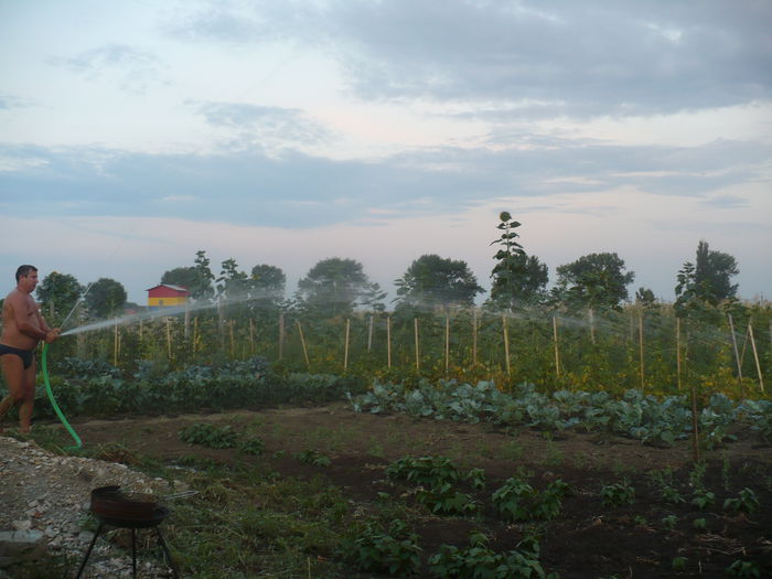 P1110043