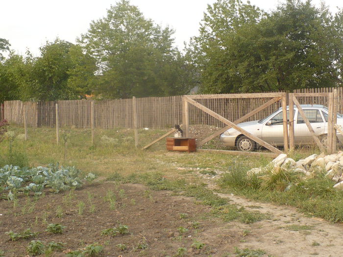 P1110066