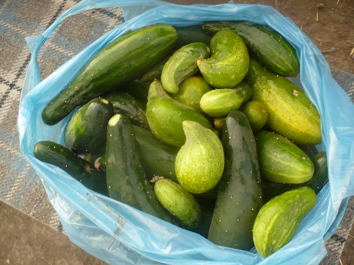 P1110078