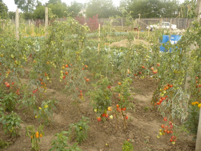 P1110081