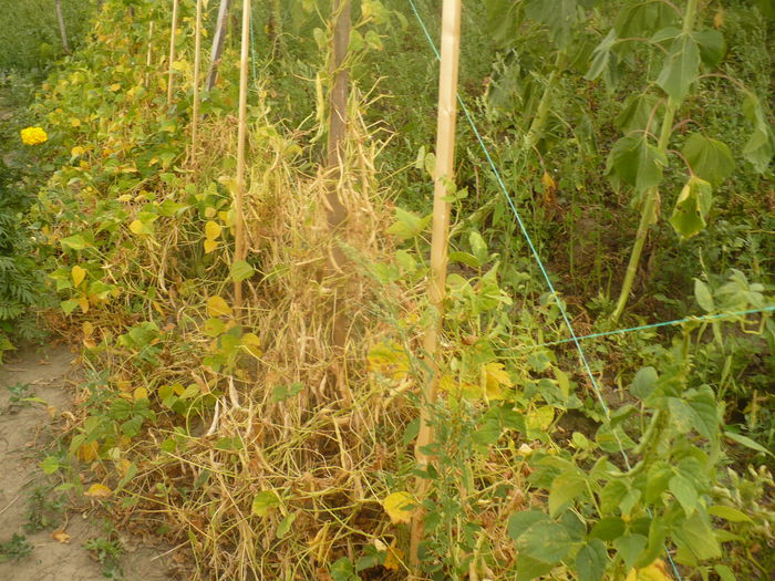 P1110086