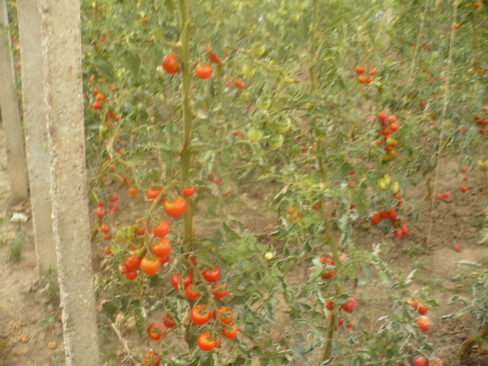 P1110088