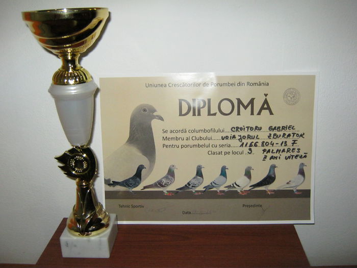 LOC 3 PALMARES VITEZA 2 ANI 2014 - CUPE DIPLOME