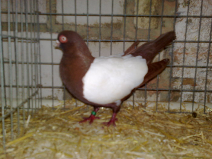 2010-01-16_14-30-44_160120102576