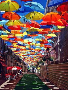 10012584_774326335911841_832937590_n - Poze Artistice 4