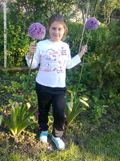 Fotografie0105 - alte flori