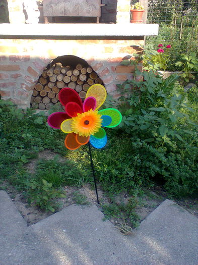 Fotografie0221 - alte flori