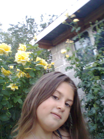 Fotografie0278 - alte flori