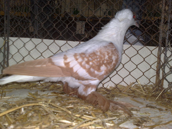 2010-01-16_15-00-48_160120102597