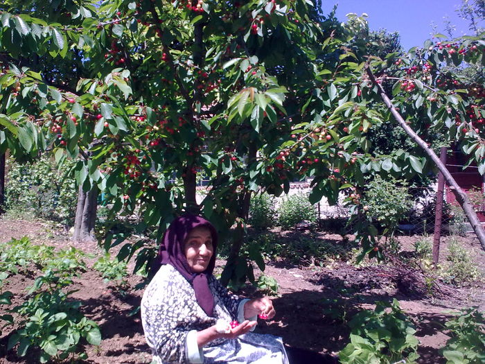 mama aduna fruheste der march