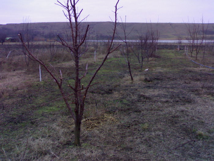 270120153254