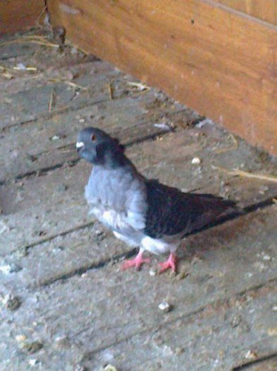 schimbat cu laurentiulaurentiu.sunphoto.ro