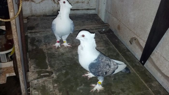 2015-01-20_18-34-39_563