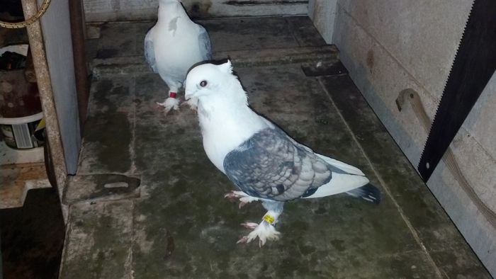 2015-01-20_18-34-46_396