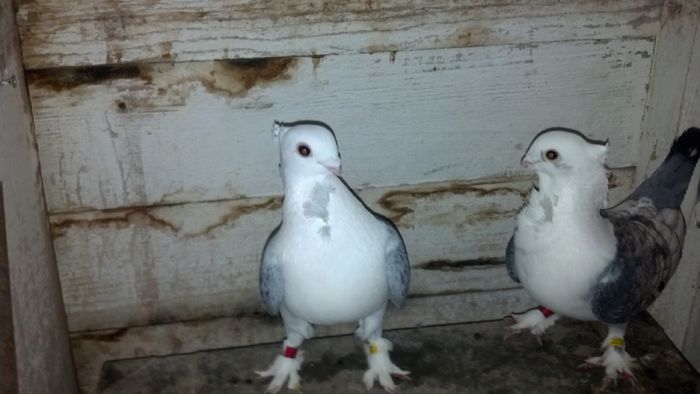 2015-01-20_18-35-27_550