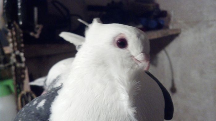 2015-01-20_18-37-45_476