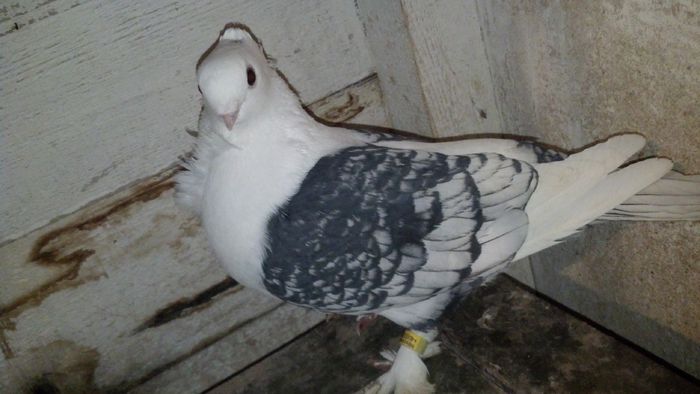 2015-01-20_18-42-29_969