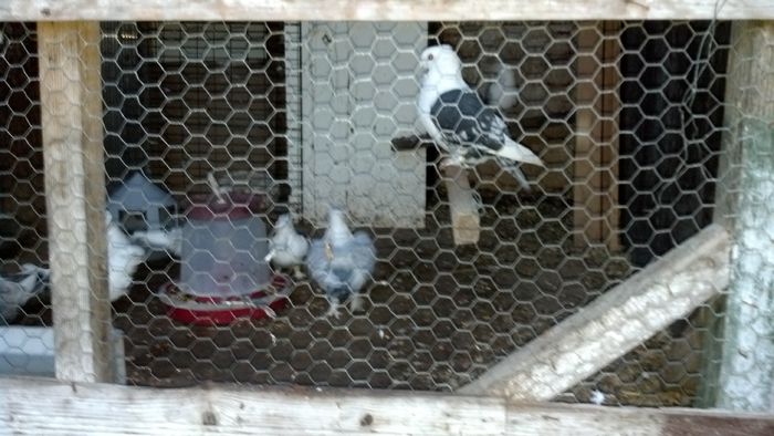 2015-01-20_17-14-56_696