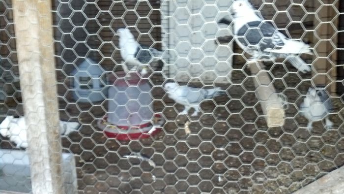 2015-01-20_17-15-04_700