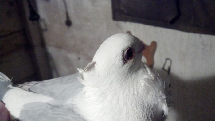 2015-01-20_18-28-19_434