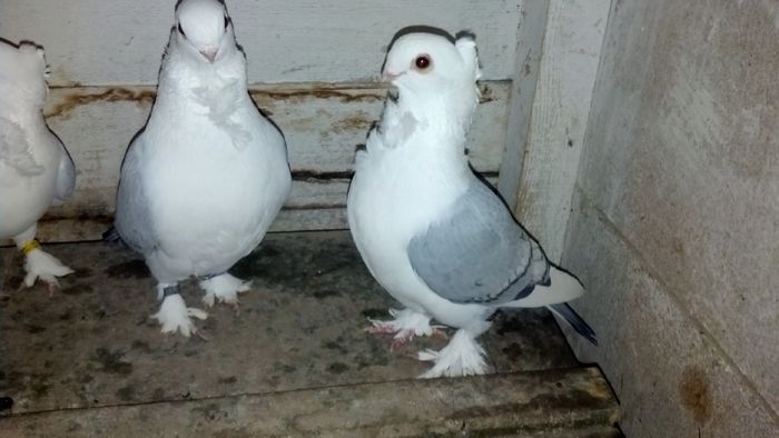 2015-01-20_18-24-29_362