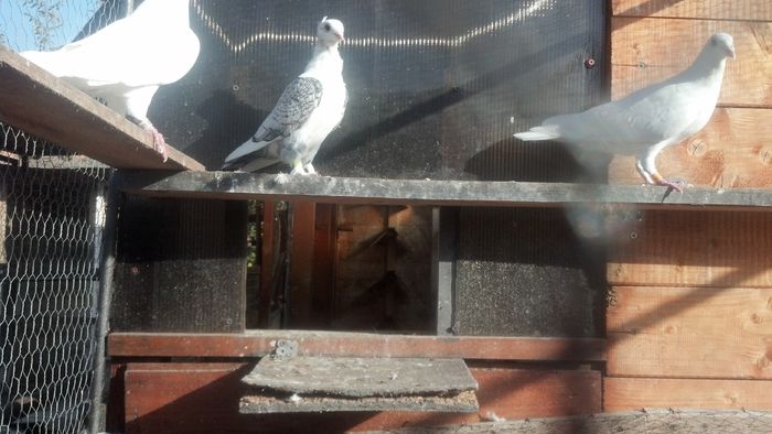 2014-10-13_16-24-12_647