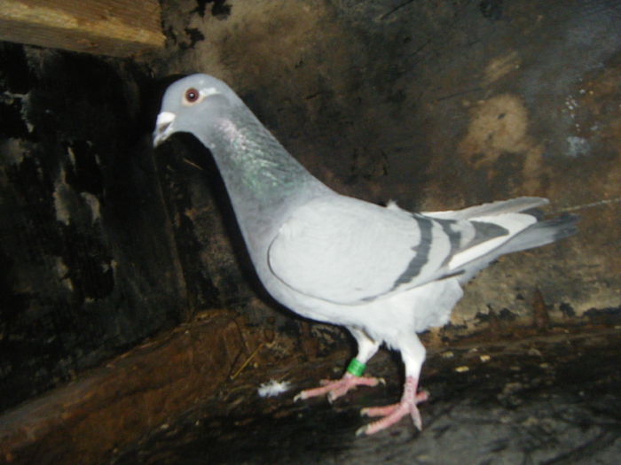 DSCF2377; F-2014      30 RON
