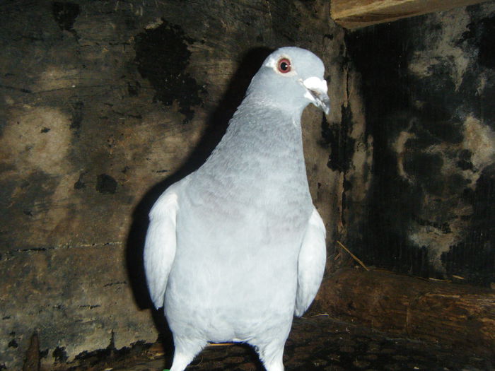 DSCF2378; F-2014      30 RON
