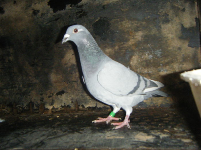 DSCF2380; F-2014      30 RON
