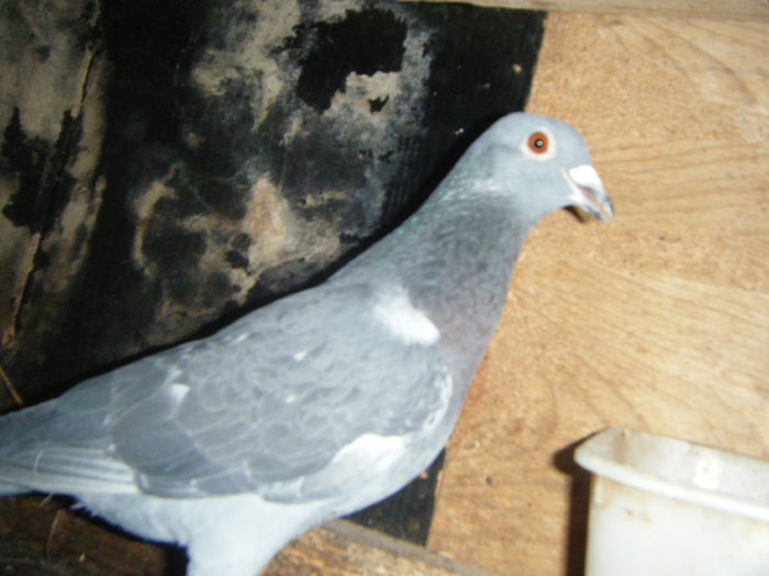 DSCF2391; M-2014   30RON
