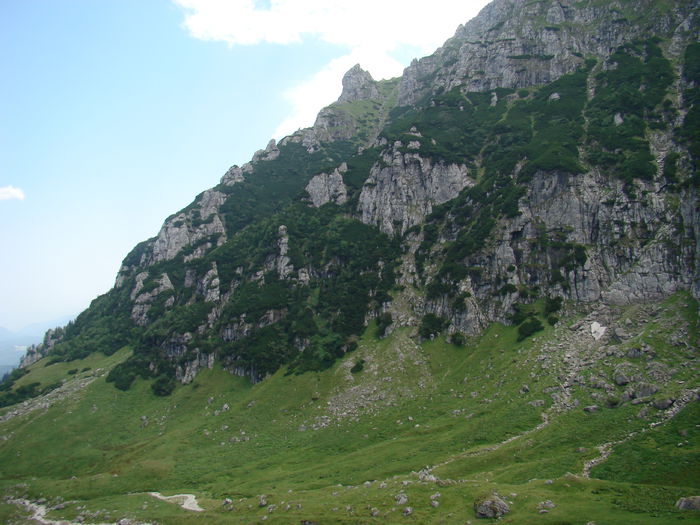 DSC09944 (2)