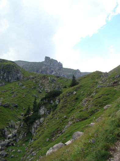 DSC09946 (2)