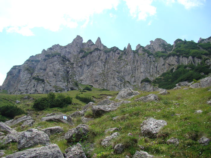 DSC09947 (2)