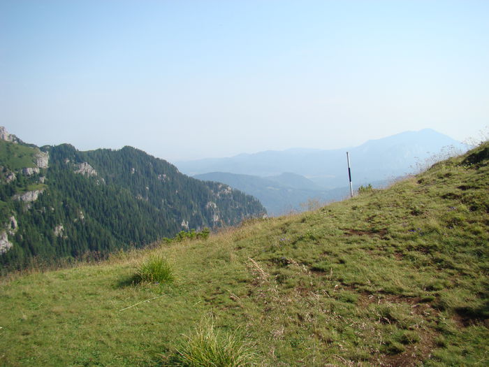 DSC09949 (2)