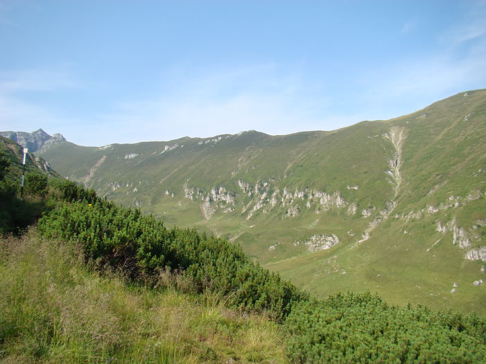 DSC09950 (2)