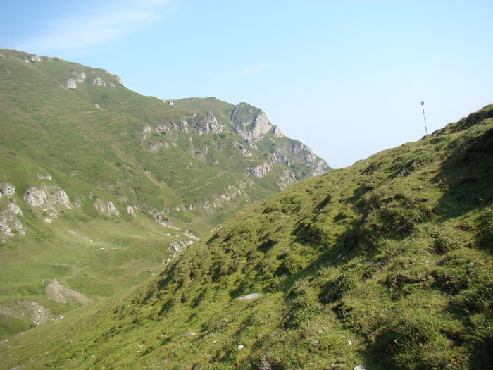 DSC09951 (2)